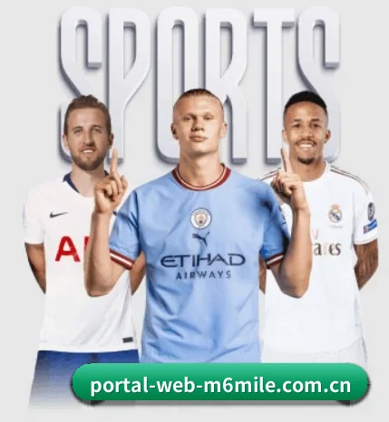 portal-web-m6mile.com.cn的故事